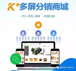 2017年电子商务平台服务 那些牛气冲天的任性革新