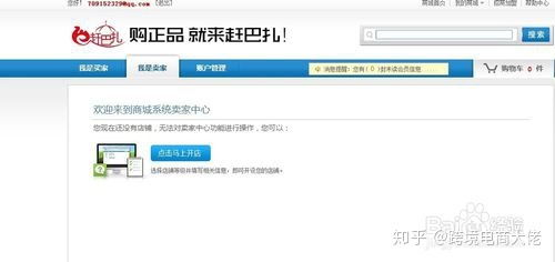 在家掘金 零基础小买卖指南与电商入门解惑