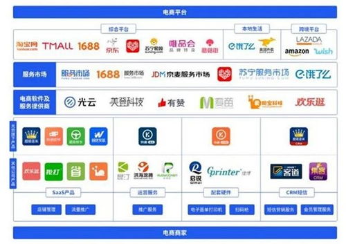 科创板迎来第100家上市公司，电子商务平台服务企业开盘大涨177.5%